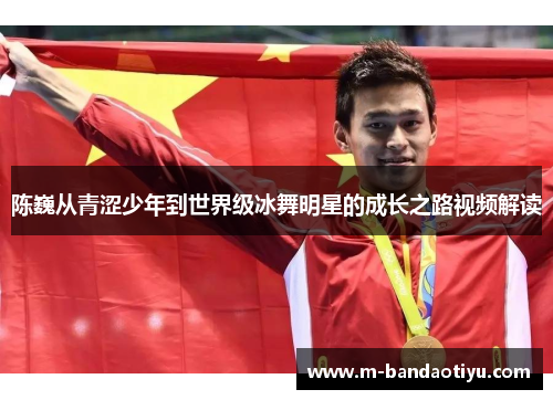 陈巍从青涩少年到世界级冰舞明星的成长之路视频解读